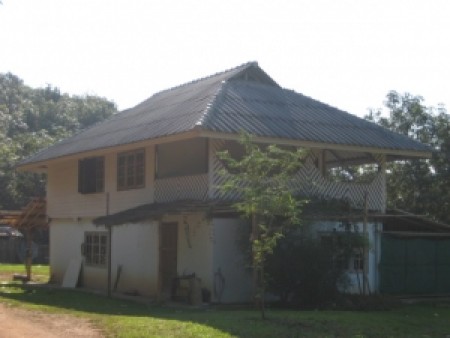 11 rai in Doi Hang, slopes, views and hundreds of trees
