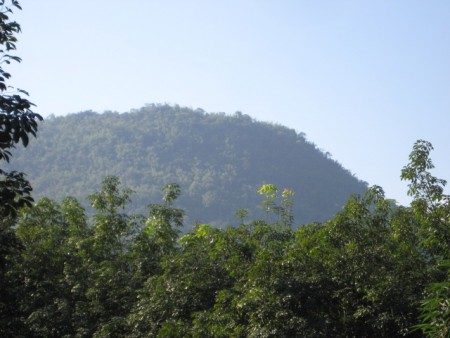 11 rai in Doi Hang, slopes, views and hundreds of trees