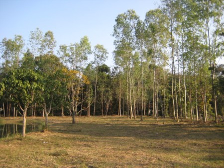 Lakeside community plots of land