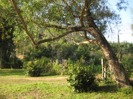 Lakeside community plots of land