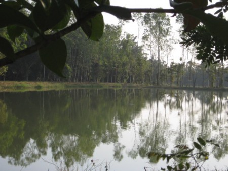 Lakeside community plots of land