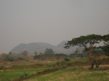 865 rai on the Mae Kok river