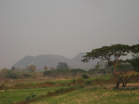 865 rai on the Mae Kok river