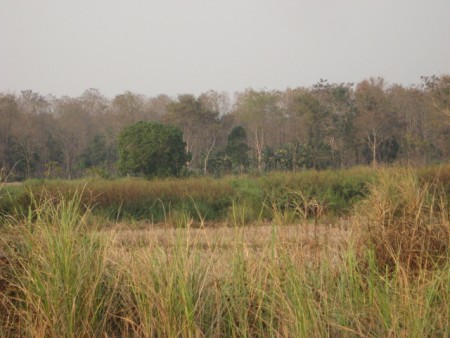 865 rai on the Mae Kok river