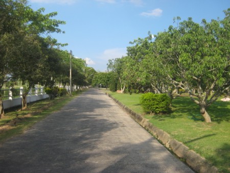 11 houses on 22 rai compound