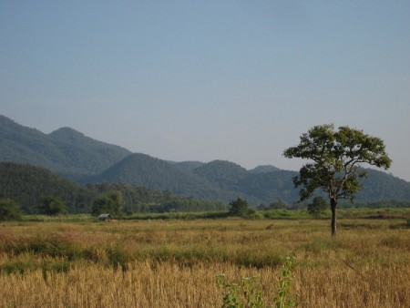 Agricultural land of 4069 rai