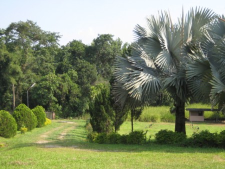 3 villas in a compound on Huay Plakang