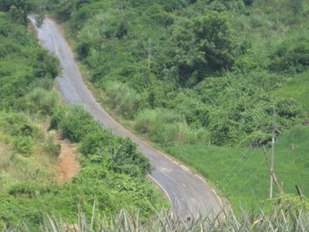 526 rai agricultural land