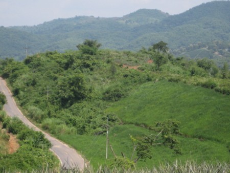 526 rai agricultural land