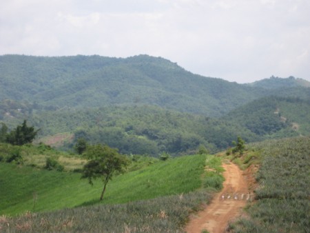 526 rai agricultural land