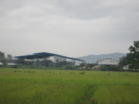 18 rai in Doi Saken