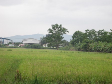 18 rai in Doi Saken